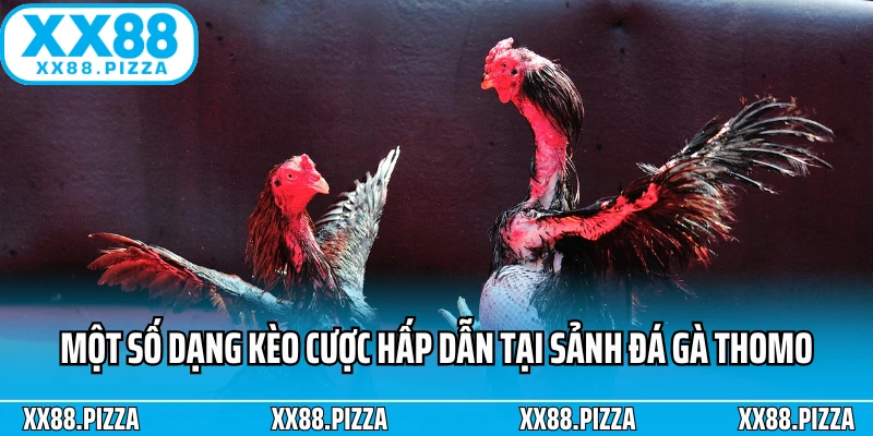 Một số dạng kèo cược hấp dẫn tại sảnh đá gà Thomo